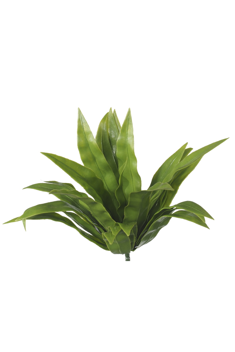 1005901_13 Aloe Vera Stem UV - Image 1