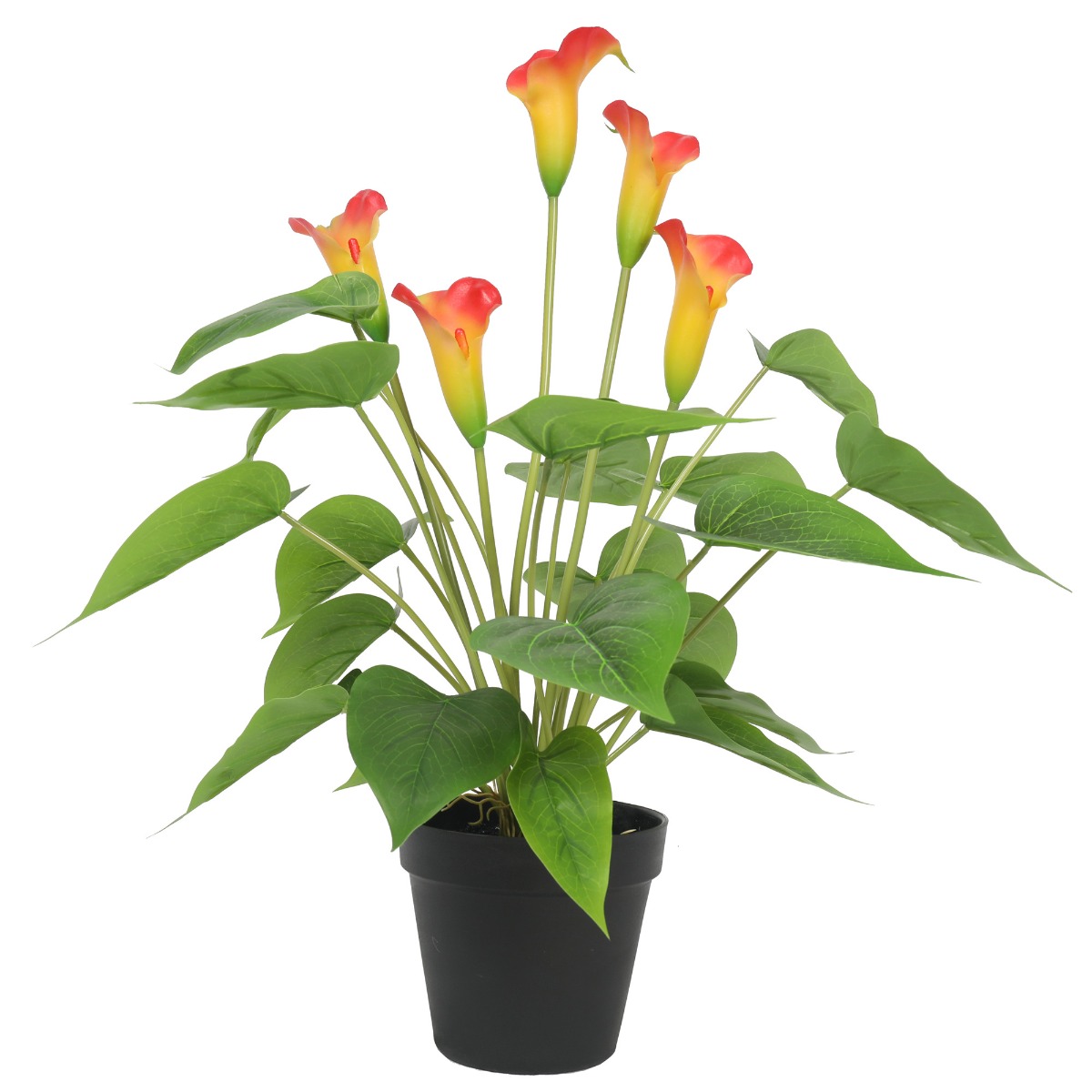 1128563_2_ Artificial Flowering White & Orange Peace Lily / Calla Lily Plant 50cm - Image 1