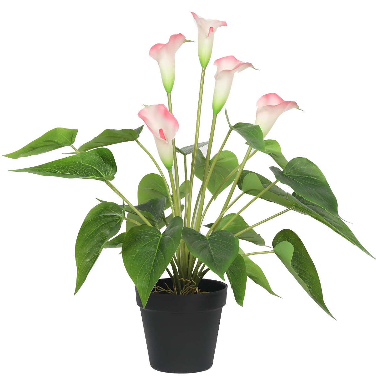 1128564_3_ Artificial Flowering White & Pink Peace Lily / Calla Lily Plant 50cm - Image 1