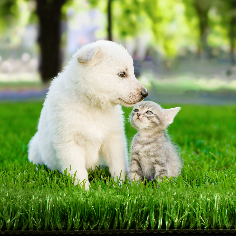 AR-GRASS-15-110M-OL-202502282024-00 Prime Turf Artificial Grass 1mx10m 17mm Synthetic Fake Lawn Turf Plant Plastic Olive - Image 1