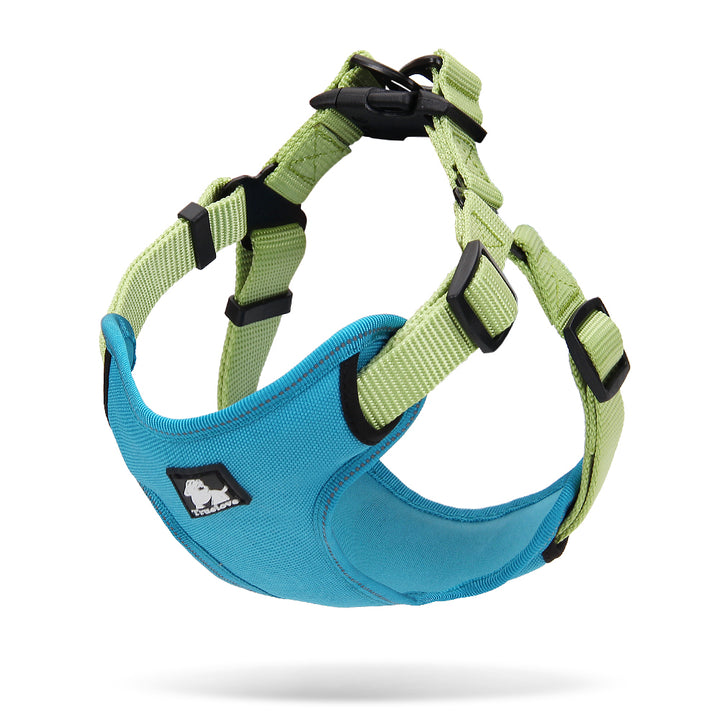 V188-ZAP-TLH5951-12-GREEN-L-TLH5951-Acidblue-Green_2_720x720-00 Urban Harness Blue/Green L - Image 1