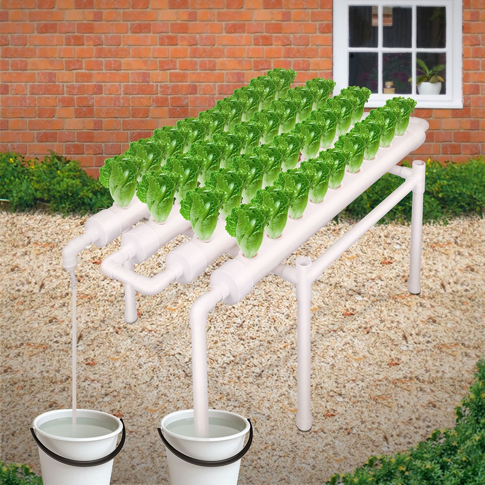 V201-FDZ1128WH8AU-61253-00 36 Sites Hydroponic Grow Tool Kits Vegetable Garden System 220V Water Pump - Image 1