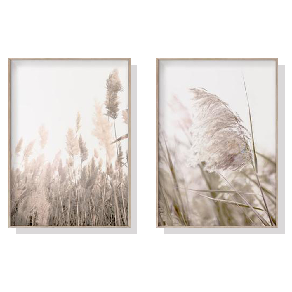 V207-1117_Pampas-Grass_1 Wall Art 60cmx90cm Pampas Grass 2 Sets Wood Frame Canvas - Image 1