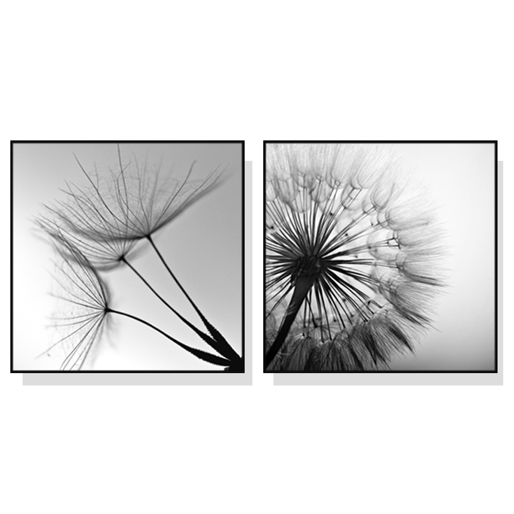 V207-1451-3-145861-00 Wall Art 90cmx90cm Black and white dandelion 2 Sets Black Frame Canvas - Image 1