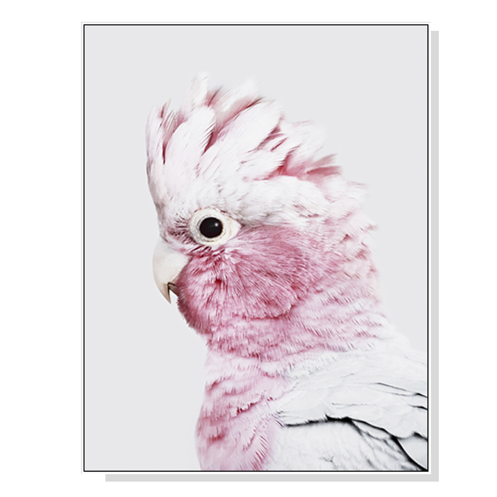 V207-1455-66033-00 Wall Art 60cmx90cm Pink Galah White Frame Canvas - Image 1