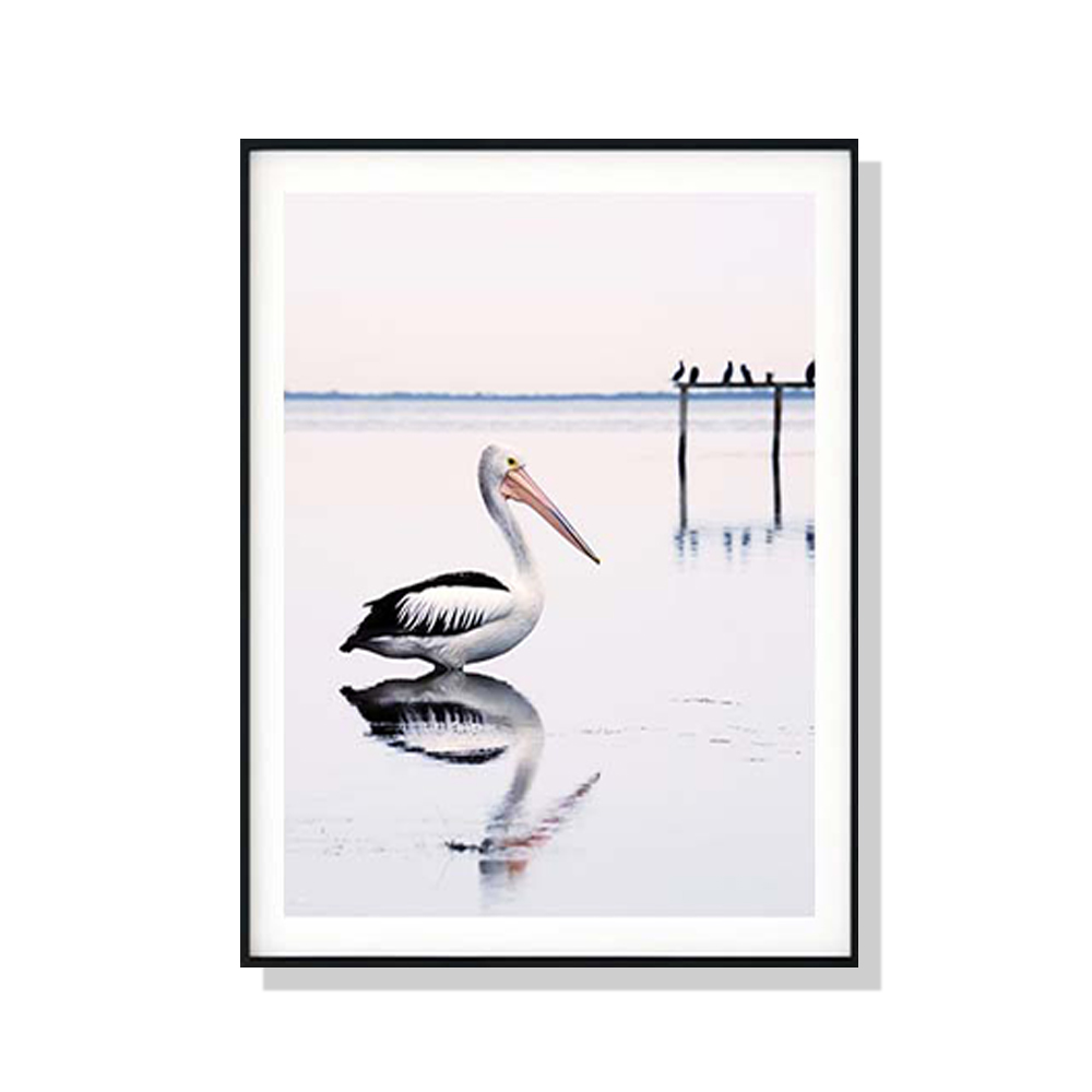 V207-1617-67279-00 Wall Art 80cmx120cm Pelican Black Frame Canvas - Image 1