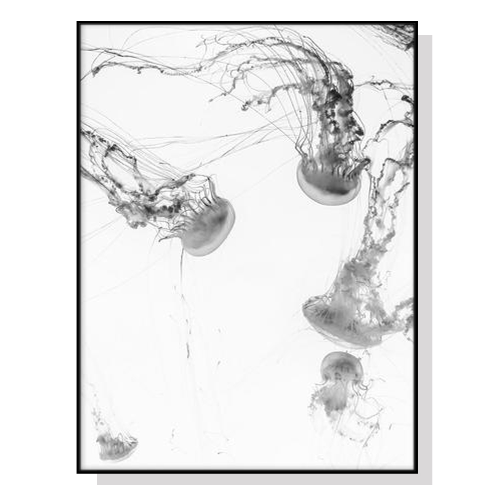 V207-1684-73381-00 Wall Art 50cmx70cm Jellyfish Black Frame Canvas - Image 1