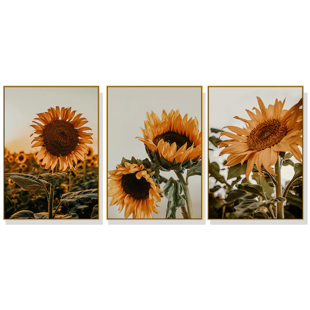 V207-20462-97614-00 Wall Art 80cmx120cm Sunflower 3 Sets Gold Frame Canvas - Image 1