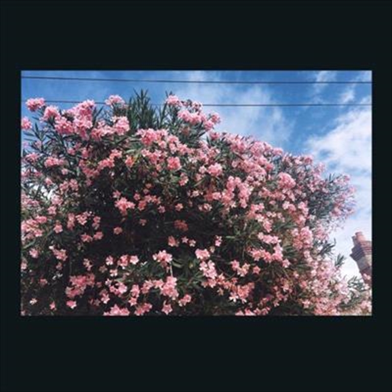 V210-2317728-202507021704-00 Drag It Down On You - Ceres Cd Album - Image 1