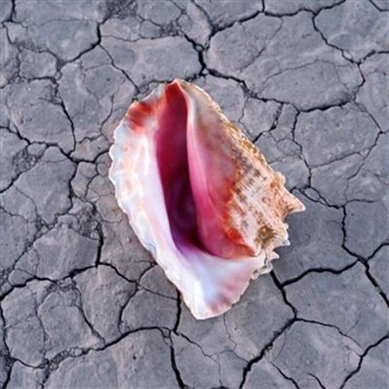 V210-2346648-202502241146-00 Wonderful Wonderful - Killers, The Cd Album - Image 1