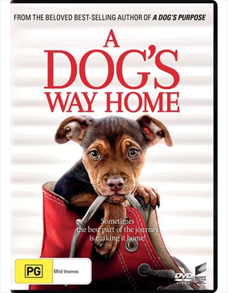 V210-2415021-76046-00 A Dog's Way Home DVD - Image 1