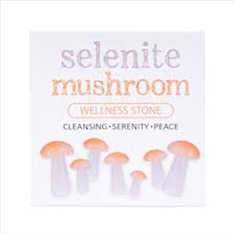 V210-2900675-202502241133-00 Gemstone Selenite Mushroom - Image 1