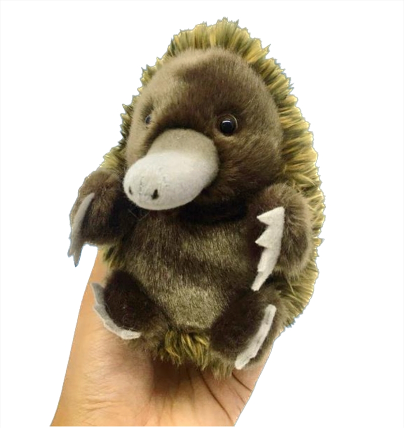 V210-2937749-202503071725-00 Baby Handfuls Echidna 13cm - Image 1