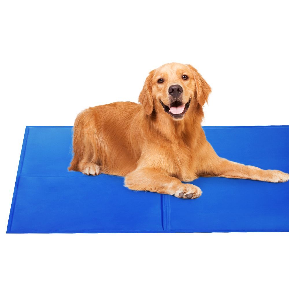 V278-PET-BED-COOL-MX2-98114-00 2X Pet Cooling Bed Gel Mat Dog Cat Non-Toxic Cool Pad Puppy Cold Summer 50x40 CM - Image 1