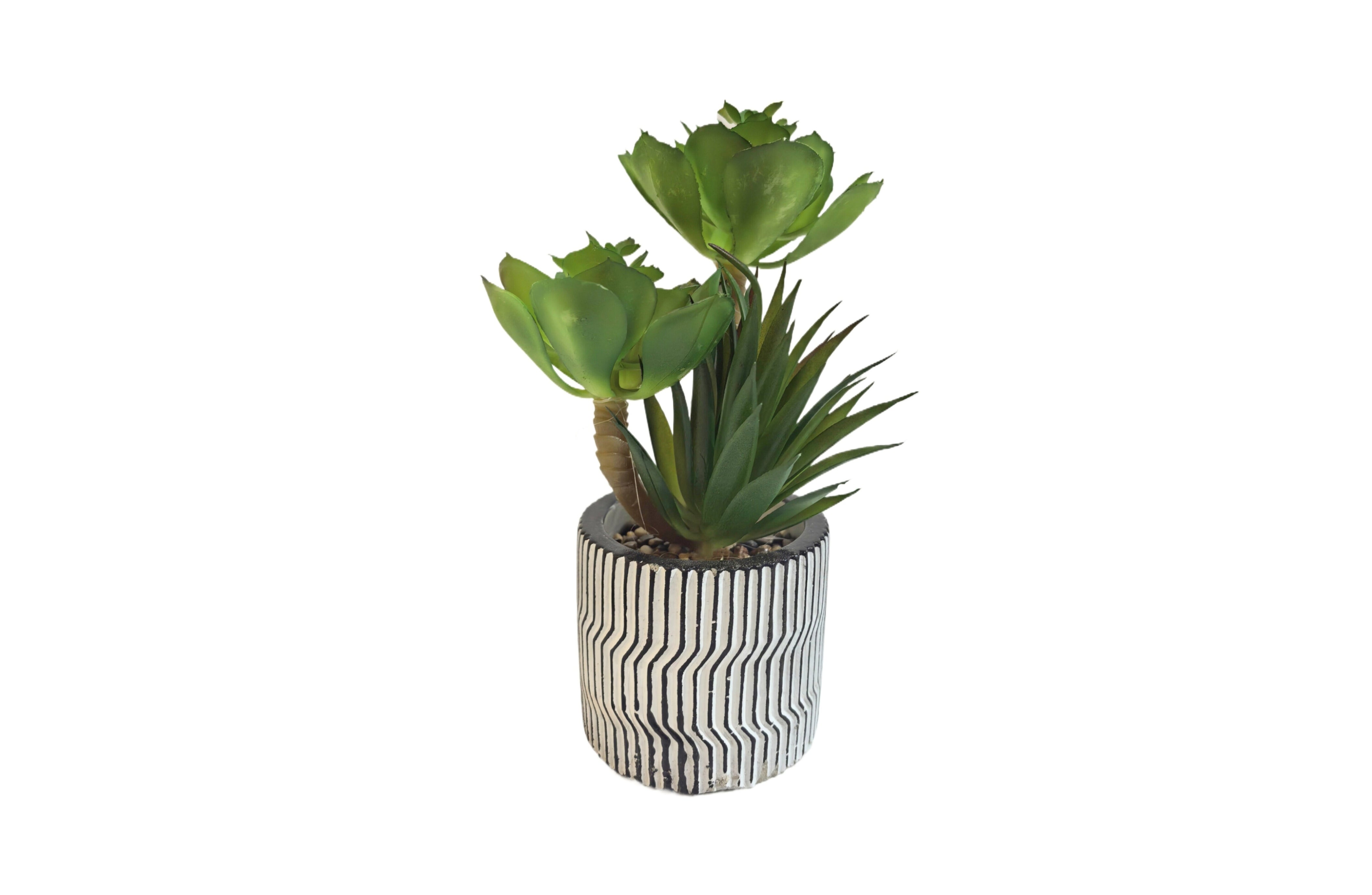 V292-HD-PLANT-MODERN-POT-202509031543-00 Modern Pot Succulent Plant - Image 1