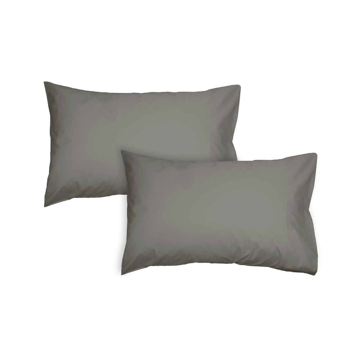 V442-INT-PILLOWC-300TCPAIR-CHARCOAL-ST-202882-00 Algodon Pair of 300TC Cotton Standard Pillowcases Charcoal - Image 1