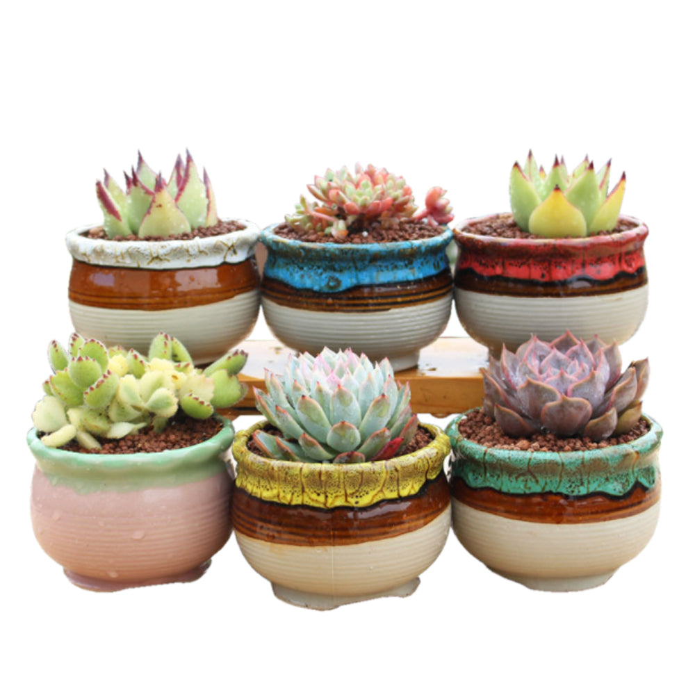 V462-HG-108-05-143300-05 4/5/6 Pots Set Ceramic Clay Pottery Pots Succulent Flower Planter Draining Hole(Style 05# 6 Pots Set) - Image 1