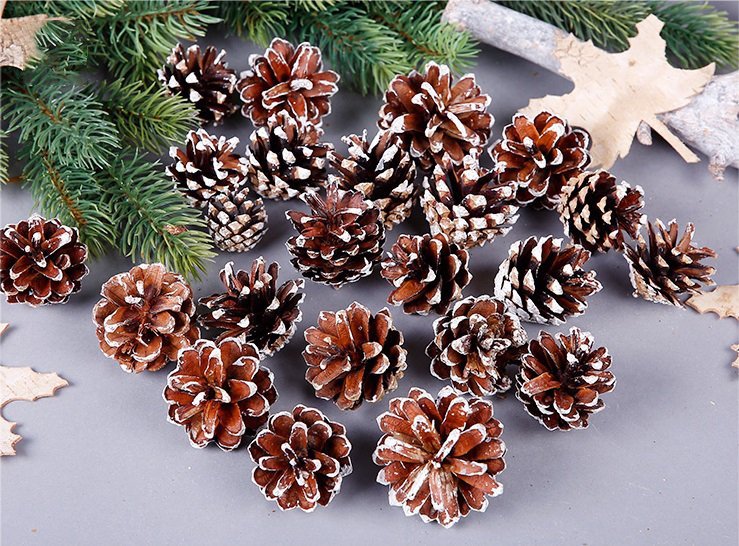 V474-227788-103200-00 18 Christmas Natural Pine Cones Xmas Tree Hanging Home Decoration Ornament Gifts, 18x Natural w Snow Covered Pinecones - Image 1