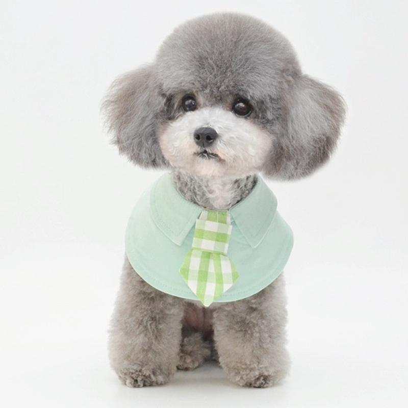V562-A1086396230DBT-202503201710-00 Pet Shawl Scarf Saliva Towel Dog Clothes Accessories - Size S - Green - Image 1