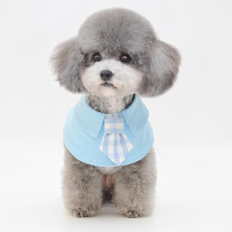 V562-D3086396230DBT-202503201711-00 Pet Shawl Scarf Saliva Towel Dog Clothes Accessories - Size L - Blue - Image 1
