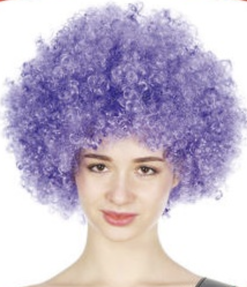 V563-BR-AFRO-PURPLE-184983-00 Mens DELUXE AFRO WIG Curly Hair Costume Party Fancy Disco 70s 80s Dress Up - Purple - Image 1