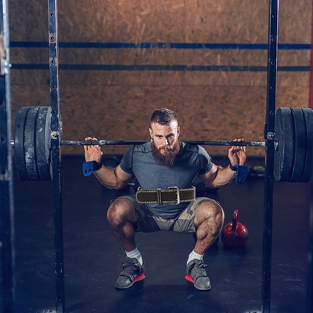 V63-783565-9027-00 Weight Lifting Belt Pro Training Large - Image 1