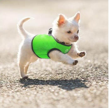 V631-MDPVESTXSPUR-186053-00 Vest Harness Pet Dog-Cat Step-in Velcro and Buckle Attachments - Moondidley Pets X-Small Purple - Image 1