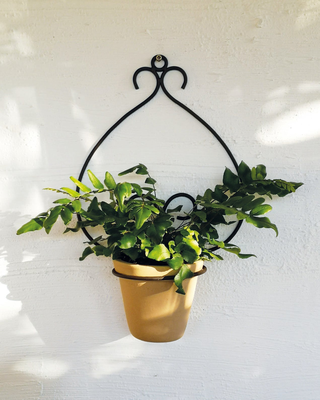 V758-CV05158-202505231106-00 casa-verde-goya-wall-pot-holder-with-pot-cv05158 - Image 1