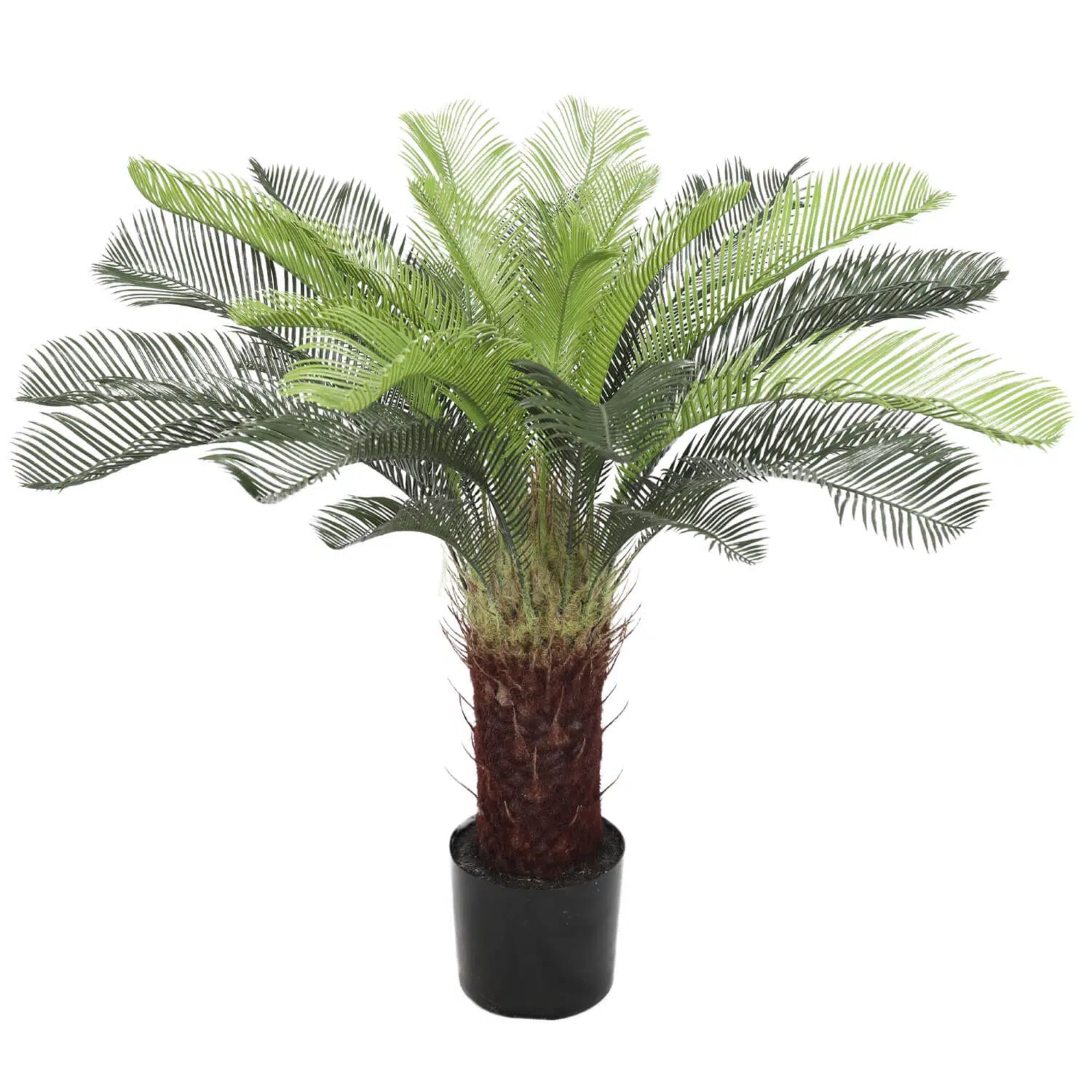 xr:d:DAEkD59r8M8:142,j:45266122316,t:23041603 Artificial Cycas / Cycad Palm Tree 105cm UV Resistant - Image 1