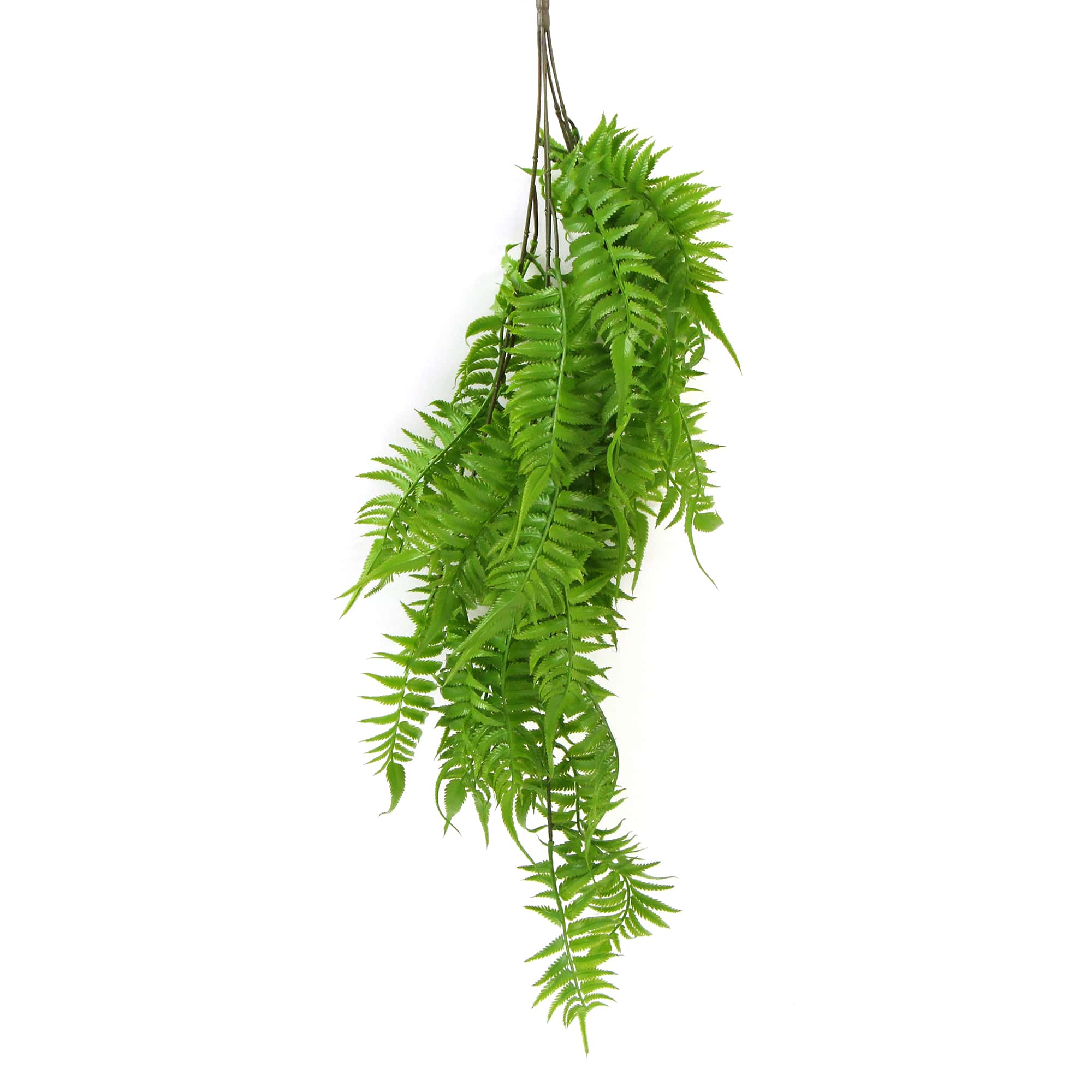 V77-751890110-751890110-00_1 Artificial Hanging English Fern (Two-Tone) Foliage UV Resistant 80cm - Image 1