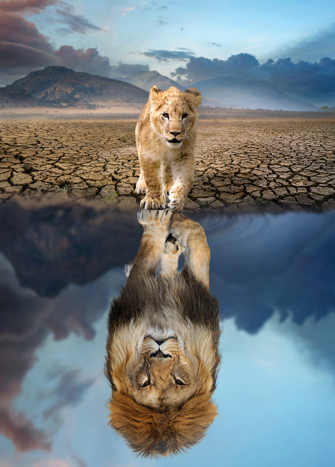 V888-ELOSUNG12016-210063-00 1000 Piece Hot Air Balloon Adventure Jigsaw Puzzle for Adults - Difficult Paper Puzzle for Adults with Beautiful Scenery, Stress Relief and Cognitive Enhancement - Image 1