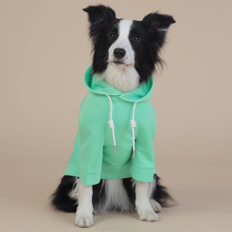 V888-ELOSUNG19163-227276-00 8XL Green Cute Dog Hoodie with Adjustable Drawstring - Available in Various Sizes - Image 1