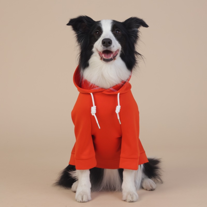V888-ELOSUNG19171-227284-00 7XL Orange Cute Dog Hoodie with Adjustable Drawstring - Available in Various Sizes - Image 1