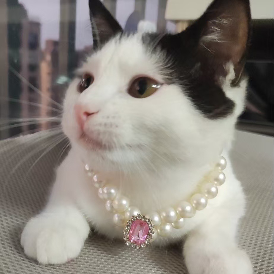 V888-ELOSUNG22528-202503272031-00 3-pcs Pink Diamond Double Strand Pearl & Rhinestone Pet Necklace - Luxury Collar for Cats & Dogs Size S (20-26CMCM) - Image 1