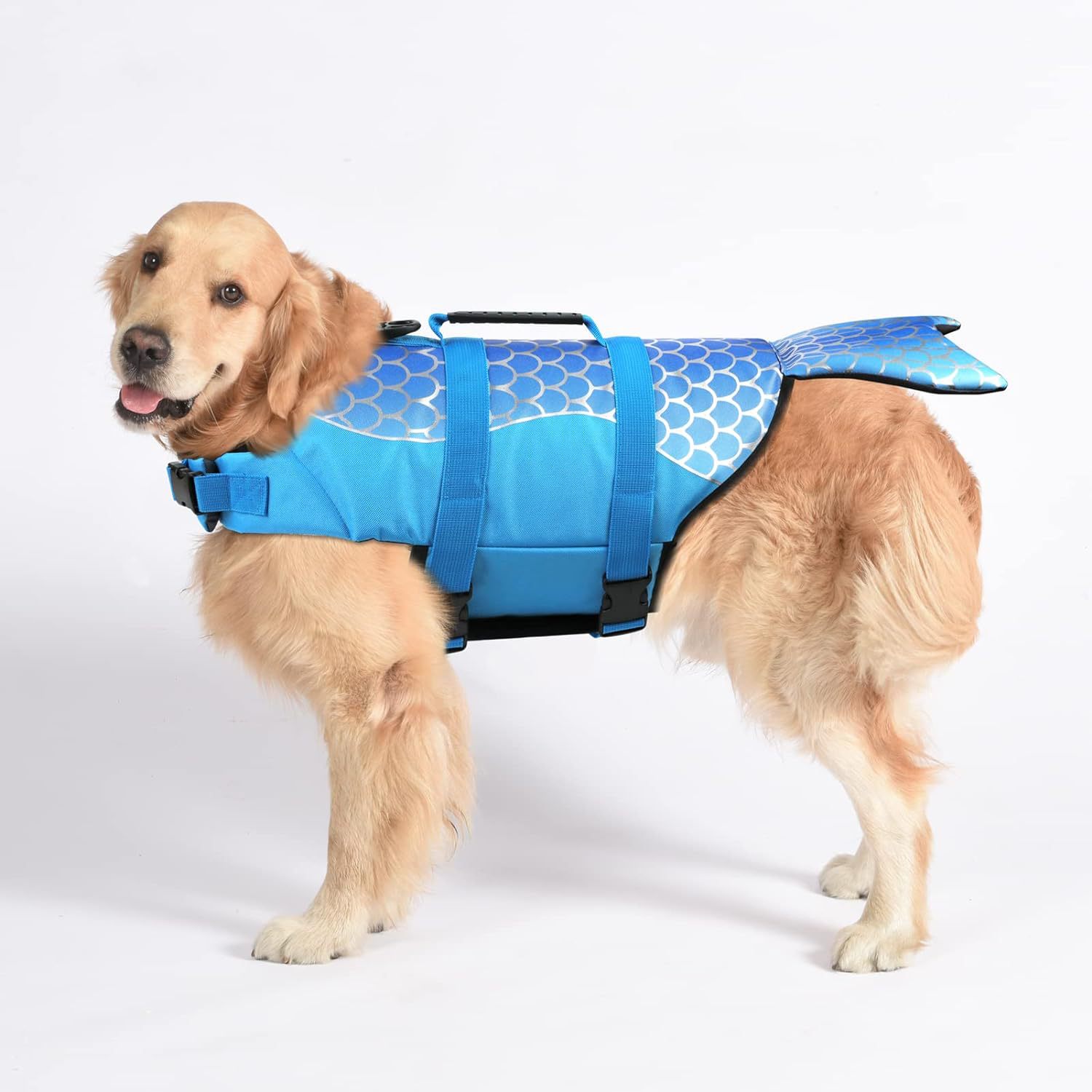 V888-ELOSUNG23323-202503251733-00 Size XS Blue Scales Pattern Pet Life Jacket for Dogs - Summer Swimming Safety Vest with Shark Fin for Small to Large Breeds - Image 1