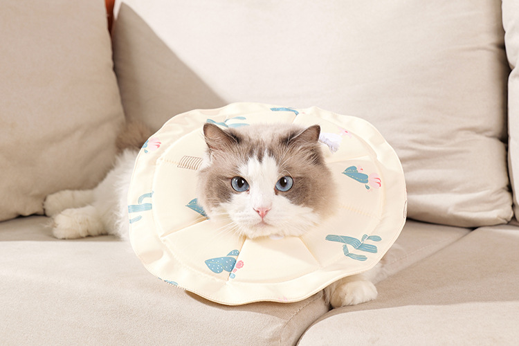 V888-ELOSUNG23812-202504141445-00 2 Pcs Size M Beige Comfortable Pet Recovery Collar | Waterproof Anti-Lick Collar for Cats & Dogs - Image 1