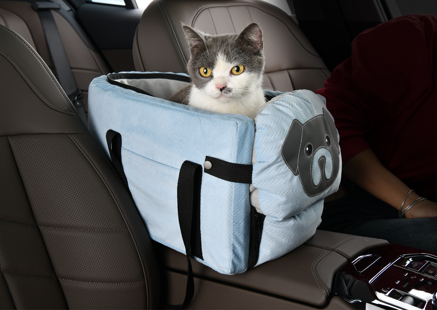 V888-ELOSUNG26511-202504291526-00 Blue Pet Car Booster Seat for Small Dogs & Cats - Safe Travel Carrier Bed - Image 1