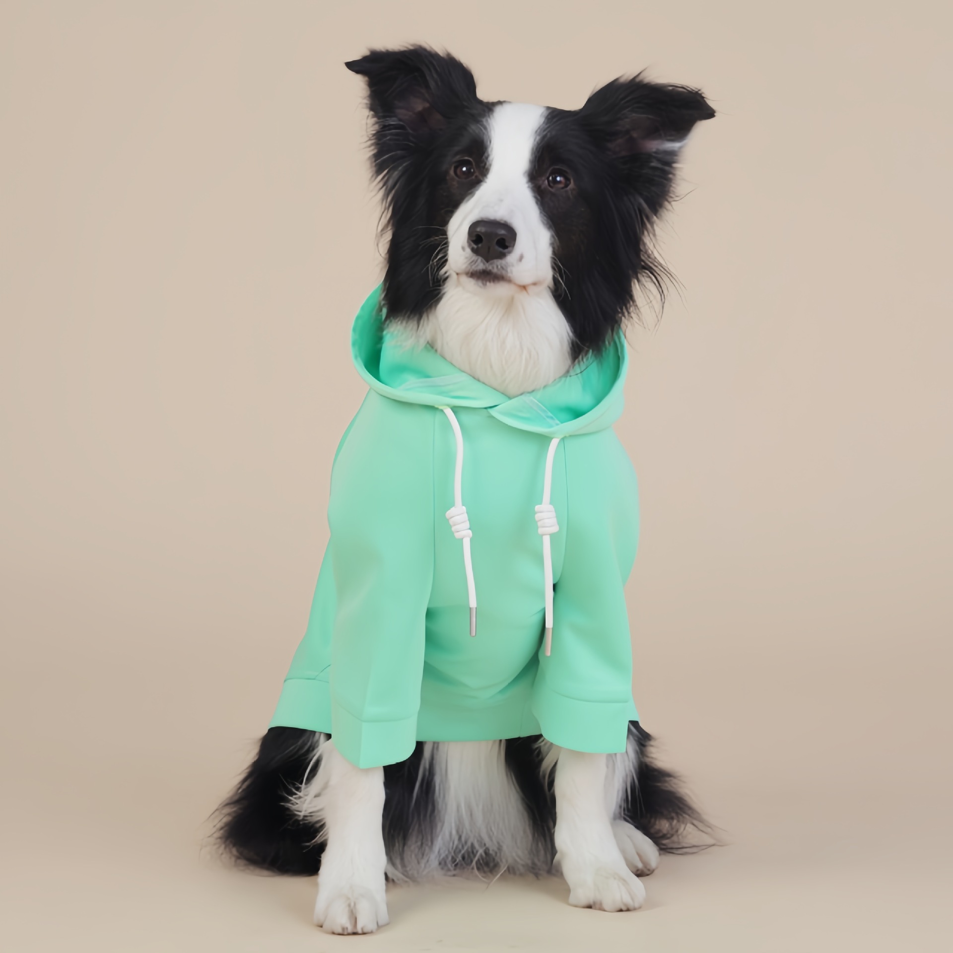 V888-ELOSUNG26785-202505131941-00 Green Classic Dog Sweatshirt with Hood & Drawstrings - For Large Dogs (Size : XL) - Image 1