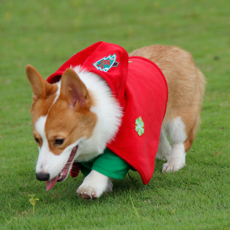 V888-ELOSUNG26957-202505191237-00 Christmas Dog Costume - Festive Hooded Cape & Green Jumpsuit Outfit (Size : 5XL) - Image 1