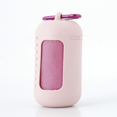 V888-ELOSUNG27067-202504211345-00 Pink Quick Dry Cooling Towel Set (2 Pack) - Microfiber Sport Towels with Silicone Cases & Carabiners - Image 1