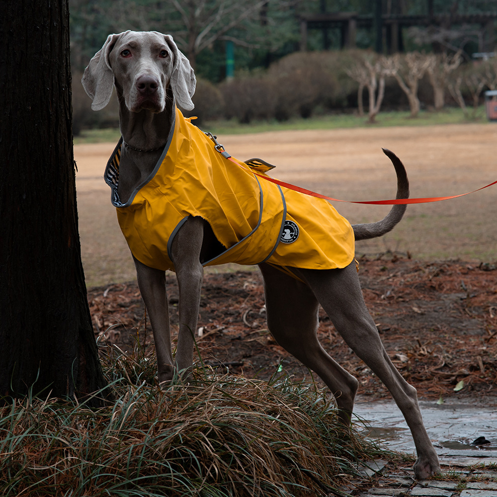 V888-ELOSUNG28889-202505261612-00 65# Yellow Waterproof Reflective Dog Raincoat for Small to Large Dogs - Image 1