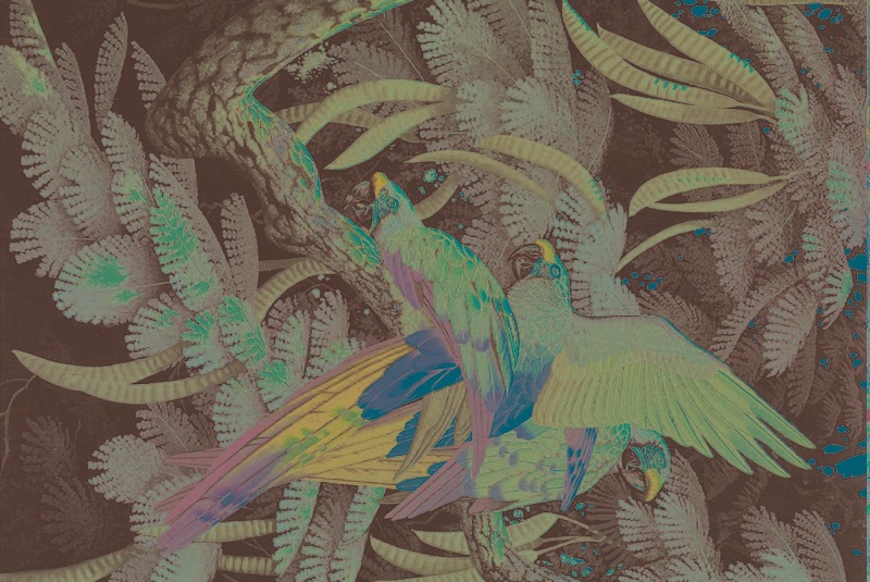 V888-ELOSUNG3099-202596-00 Crimson Tomoko Puzzle - Image 1