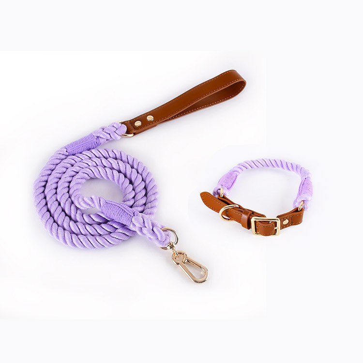 V888-ELOSUNG31216-202505281112-00 Premium Leather Pet Collar and Leash - Soft, Strong Braided Rope (Purple - Size M) - Image 1