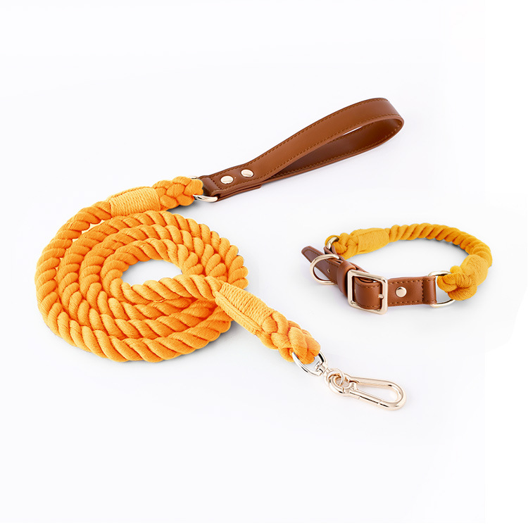 V888-ELOSUNG31276-202505301207-00 Premium Leather Pet Collar and Leash - Soft, Strong Braided Rope (Honey orange - Size S) - Image 1