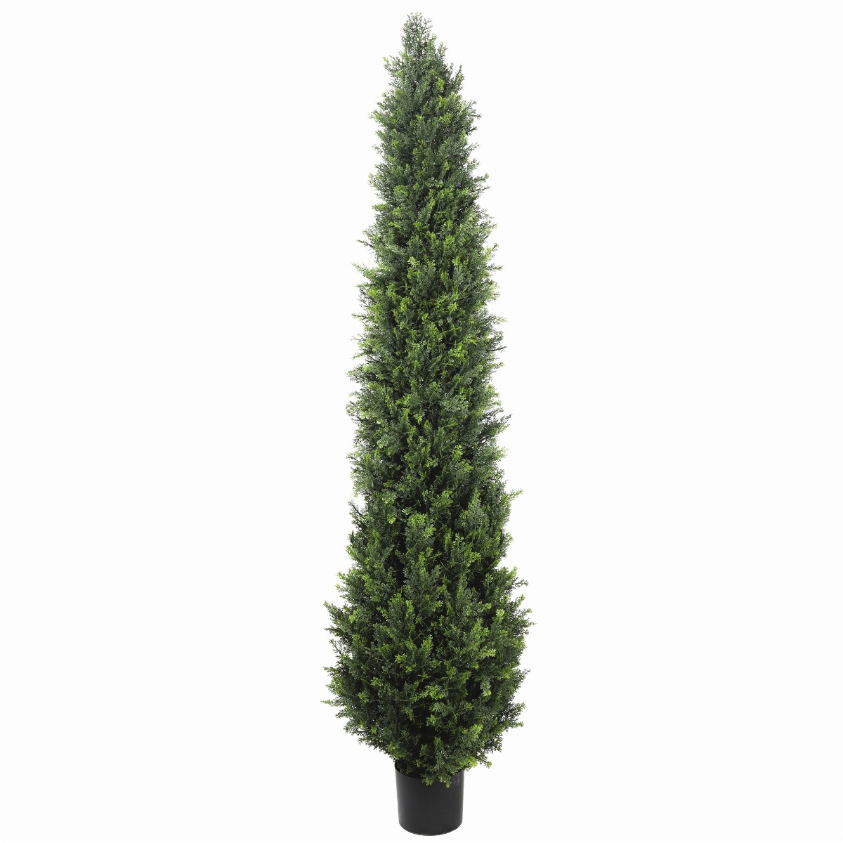 fc2a6489_4 UV Resistant Cypress Pine Tree 2.1m - Image 1