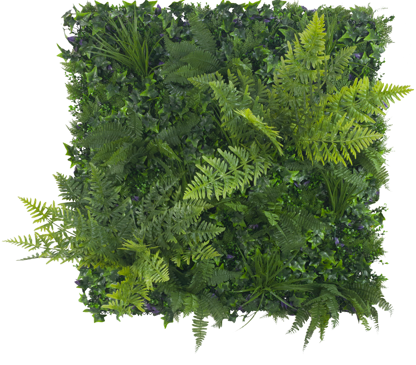 jungle_fern_resized_3 Jungle Fern Vertical Garden / Green Wall UV Resistant 1m x 1m - Image 1