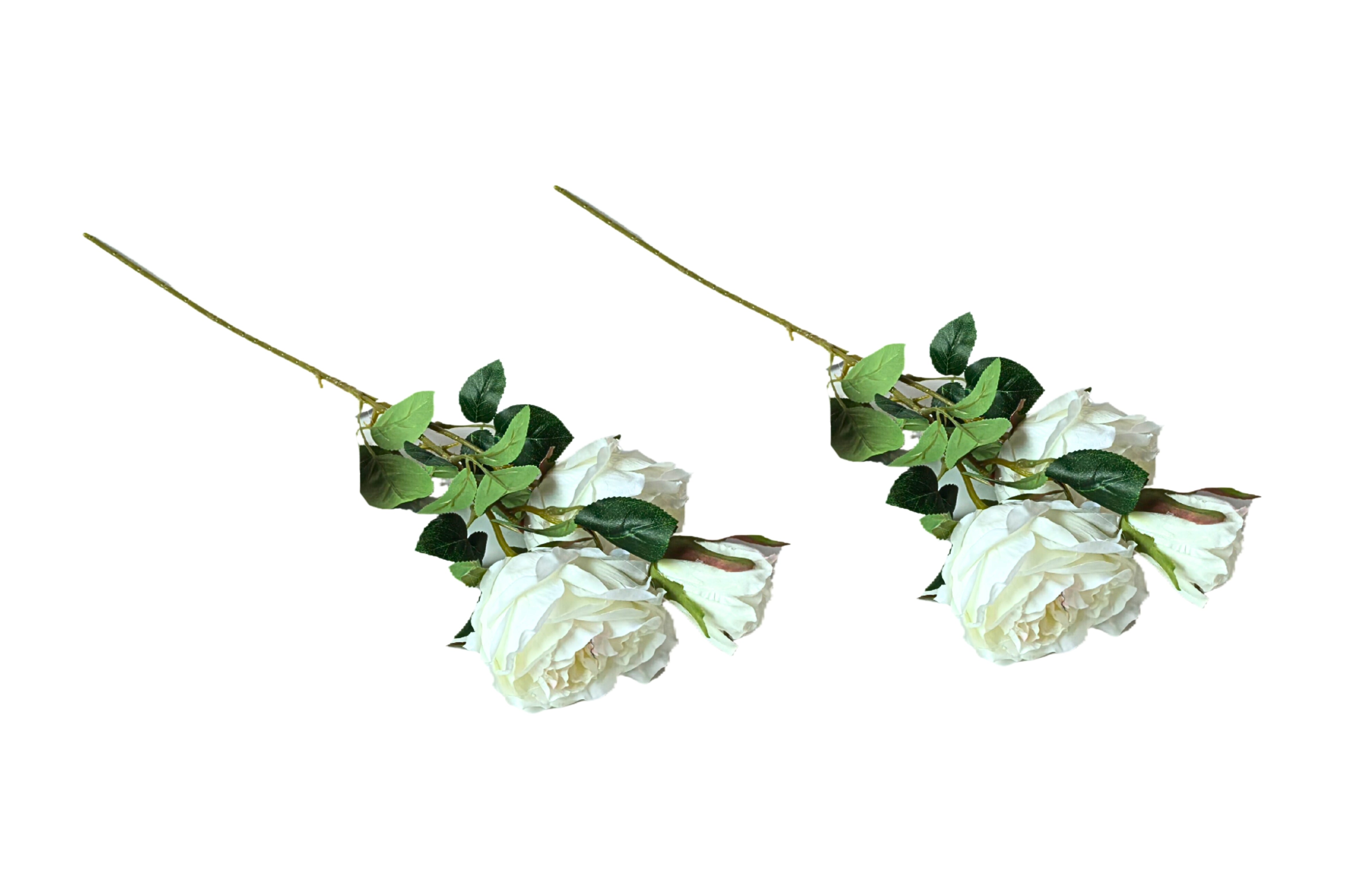 V292-HD-PLANT-3STEMROSE-60CM-OFFWHITE-SO2-202509031648-00 Artificial Rose Stems – Set of 2 Stems – 60cm with 3 Flowers Each - Off White - Image 1
