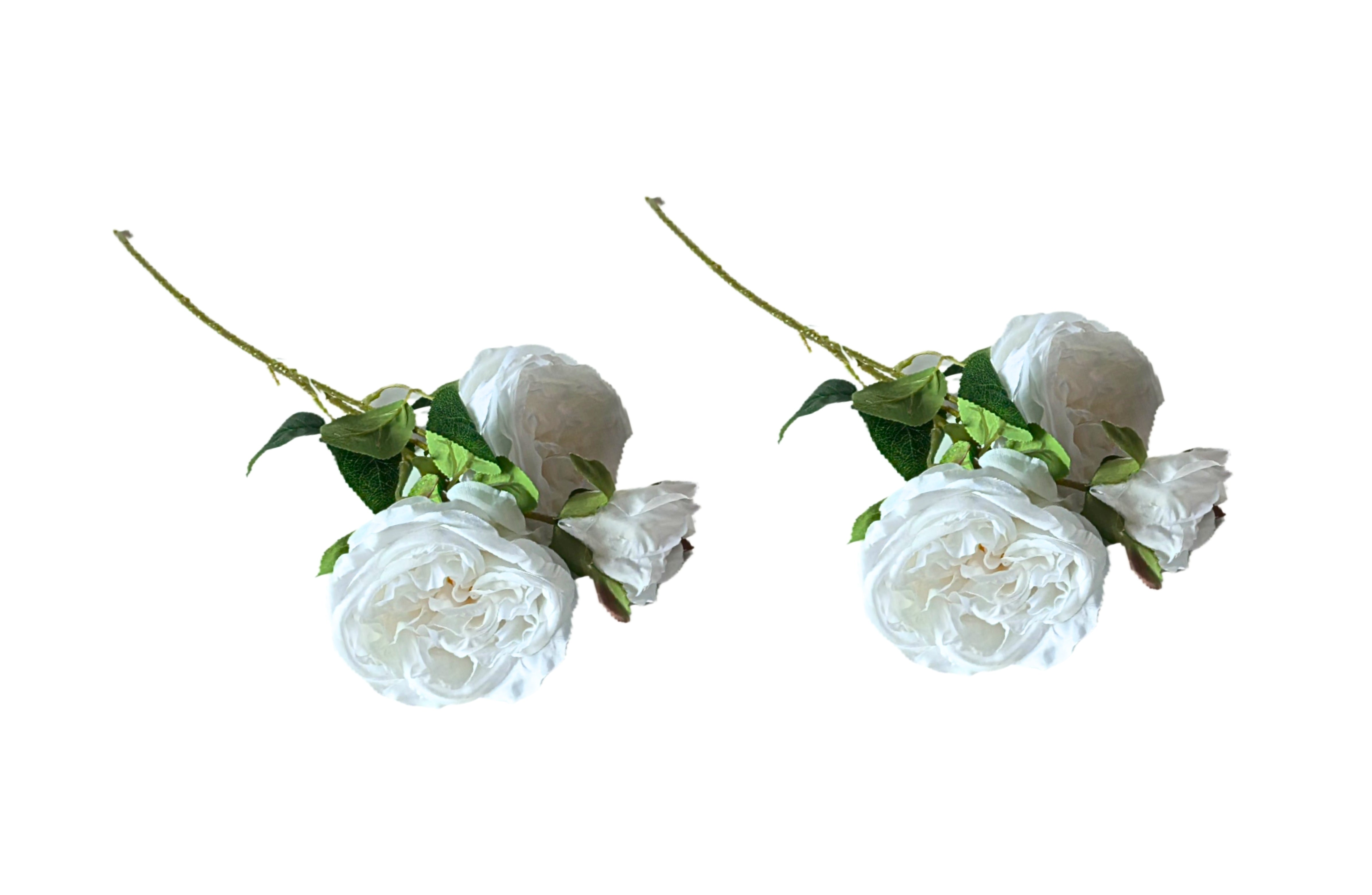 V292-HD-PLANT-3STEMROSE-60CM-WHITE-SO2-202509031648-00 Artificial Rose Stems – Set of 2 Stems – 60cm with 3 Flowers Each - White - Image 1