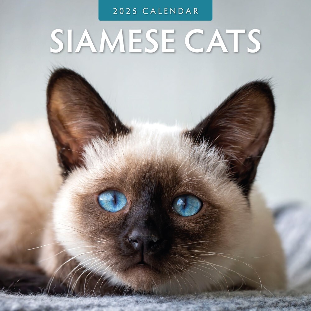 V474-695265-202507050115-00 Siamese Cats - 2025 Square Wall Calendar Animals 16 Months Premium Planner Gift - Image 1