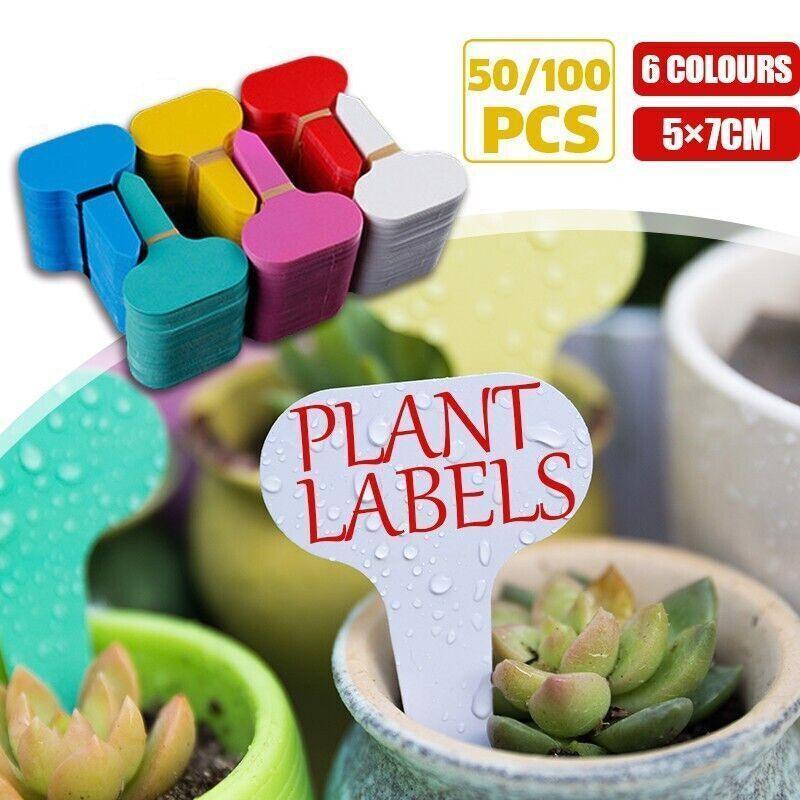 V528-9360312079257-202509302009-00 T Plant Labels 50-100Pcs 6 Colours Garden Stakes Markers Tags Nursery Seedling - Pink - Image 1